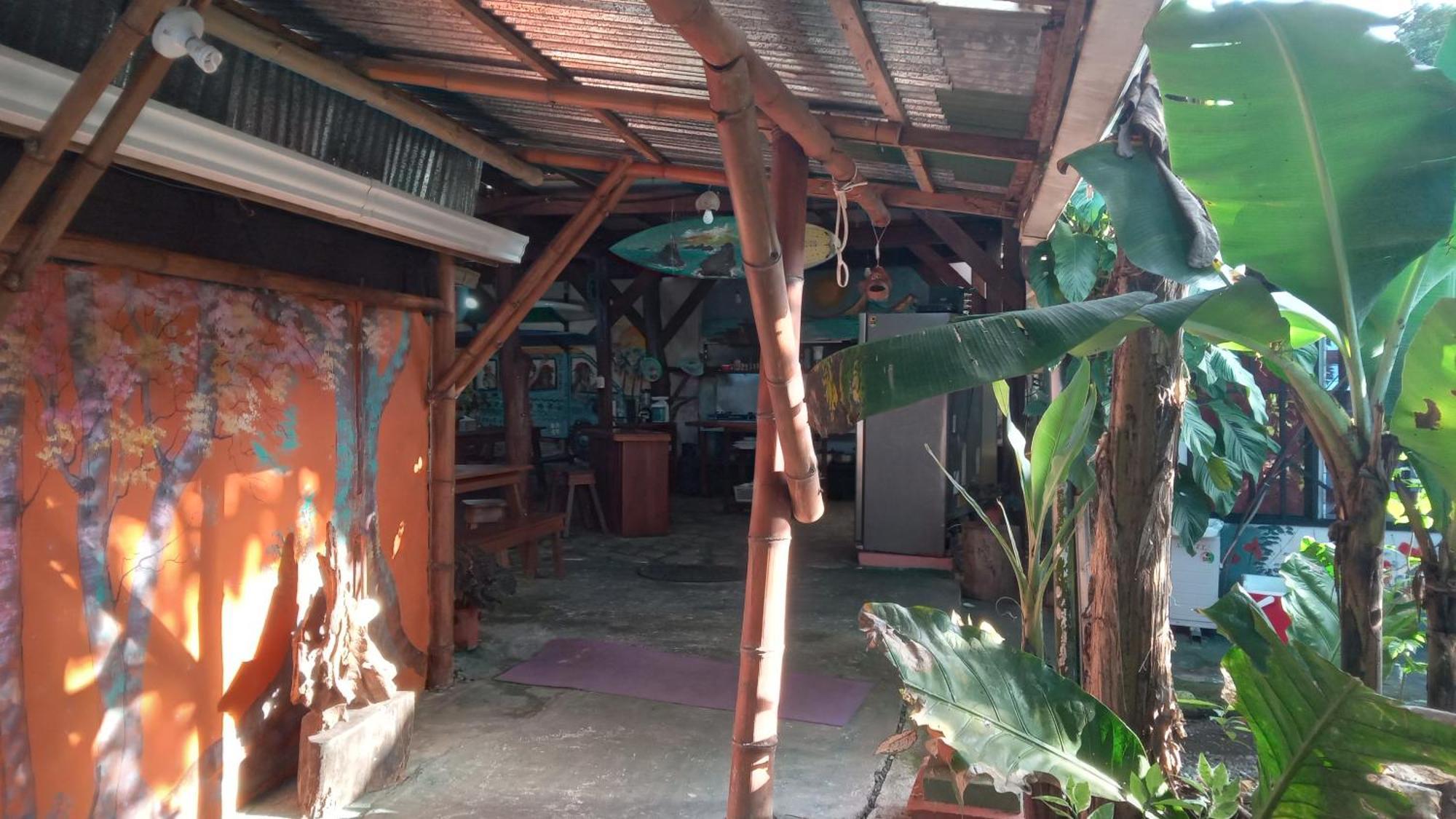Osa Surf House Hotel Puerto Jiménez Exterior photo